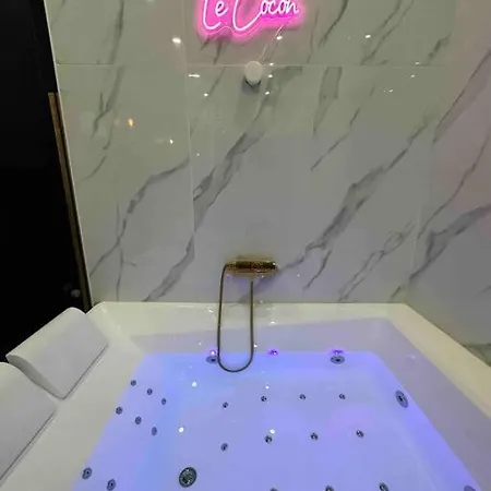 Le Cocon Des Arenes : Jacuzzi Lejlighed *